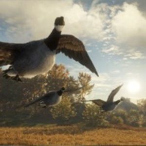 Meet your Posher, Thegoosehunter12